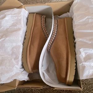 Ugg Tasman